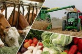 Отчёт  по сельскому хозяйству за 2020 год