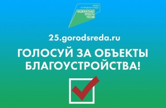 Депутаты Думы района приняли участие в онлайн-голосовании по отбору объектов благоустройства.