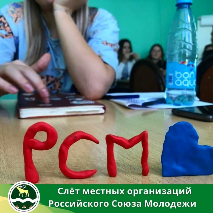 Слет местных организации Российского Союза Молодежи состоялся в г. Артеме