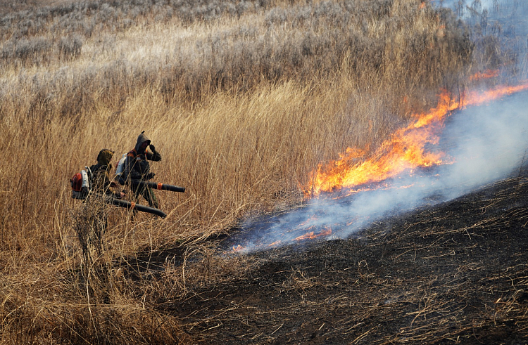 22 пожара потушили в Приморье за три дня