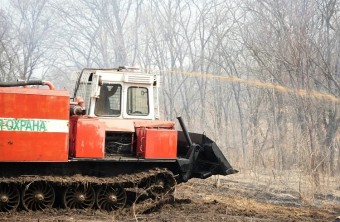 19 пожаров потушили в Приморье за сутки
