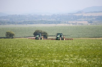 Свыше 650 гектаров овощей «для борща» посадили в Приморье