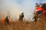 Приморье – в лидерах по ДФО по оперативности тушения лесных пожаров