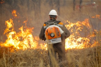 Особый противопожарный режим ввели в Приморье