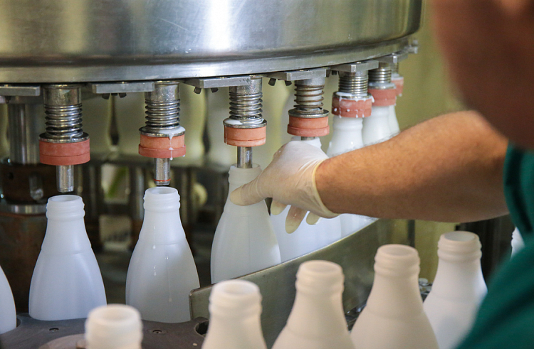 На 4,5% увеличилось производство молока в Приморье
