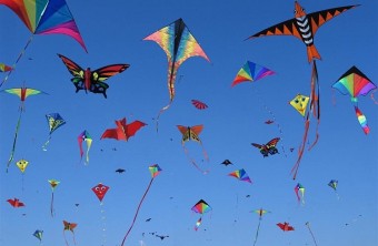 «Небо на ладони»: фестиваль воздушных змеев пройдет в Приморье