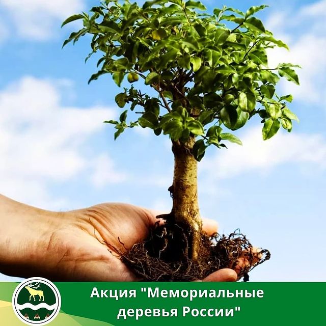 Акция "Мемориальные деревья России"