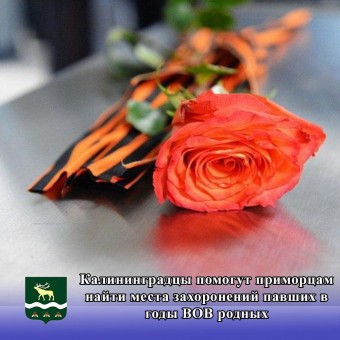 Калининградцы помогут приморцам найти места захоронений павших в годы ВОВ родных