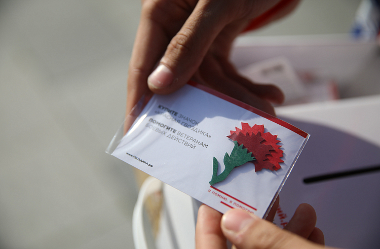 Участники акции «Красная гвоздика» в Приморье смогут оказать адресную помощь ветеранам