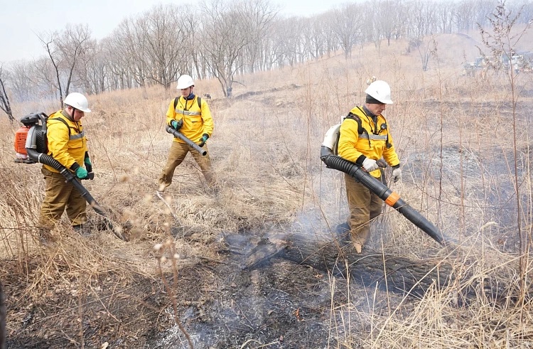 17 лесных и природных пожаров потушили в Приморье за сутки