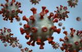 Как распознать "омикрон"- штамм коронавируса? КАРТОЧКИ
