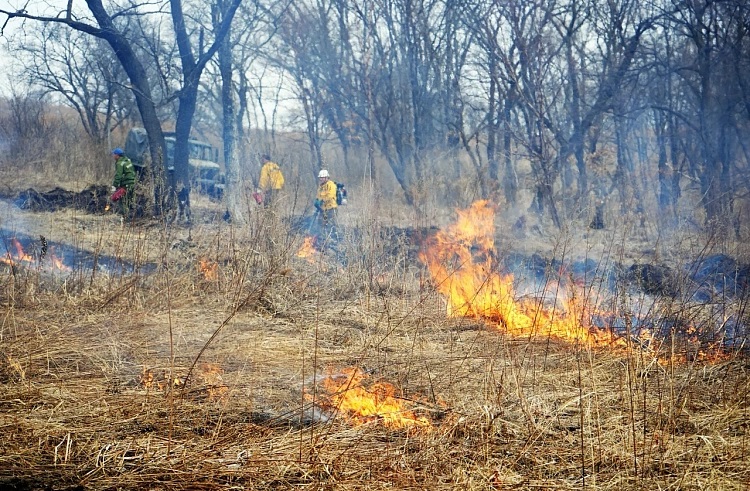 Один природный пожар потушили в Приморье за майские праздники