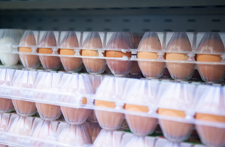 На 25 миллионов штук увеличилось производство яйца в Приморье