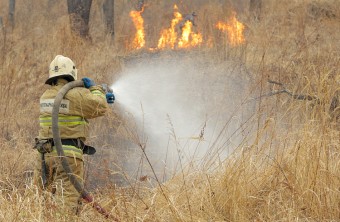 Утверждены сроки начала пожароопасного сезона в Яковлевском районе
