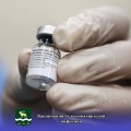 Около 2 тысяч приморцев в сутки вакцинируют от COVID