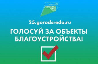 Почти 90 тысяч приморцев проголосовали на 25.gorodsreda.ru за любимые парки и скверы