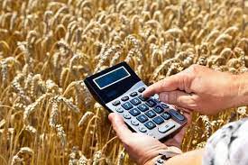 Субсидии из краевого бюджета сельскохозяйственным товаропроизводителям Приморского