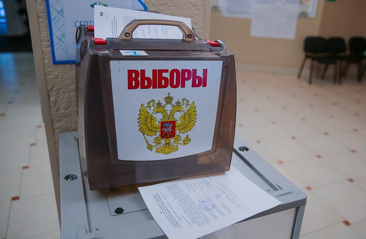 Адресное информирование избирателей о выборах Президента РФ проведут в Приморье