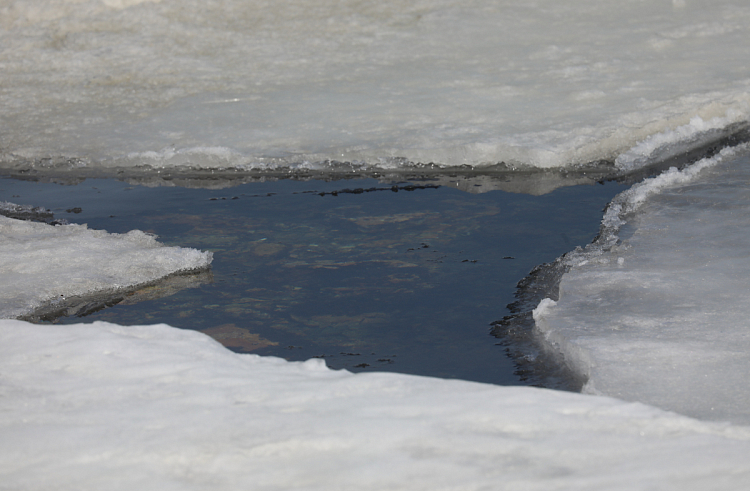 МинГОЧС Приморья: Выход на лед по-прежнему опасен для жизни