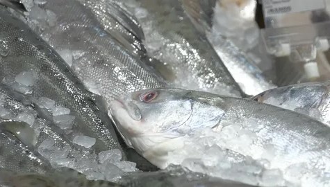 Незаконный оборот приобретенной на Камчатке рыбопродукции