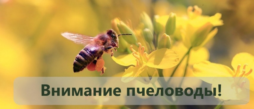 ​Внимание пчеловоды!