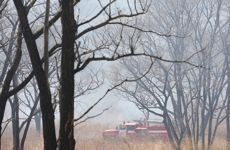 Пять природных пожаров потушили в Приморье за сутки