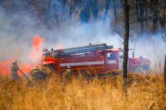​62 административных дела о нарушении пожарной безопасности возбуждено в Приморье