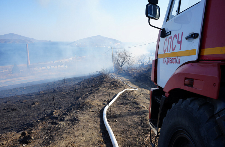 Четыре природных пожара ликвидировано в Приморье