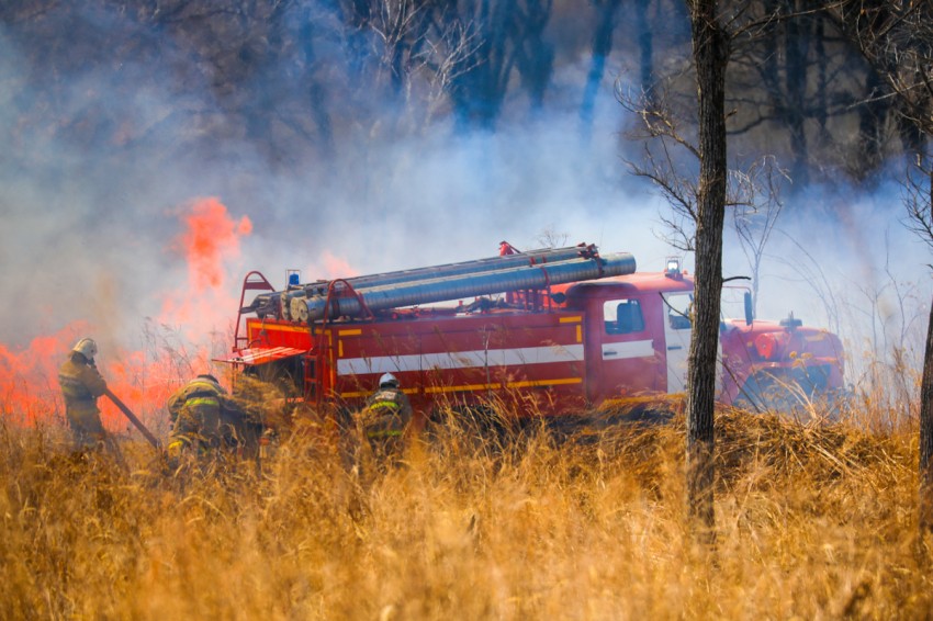 ​62 административных дела о нарушении пожарной безопасности возбуждено в Приморье