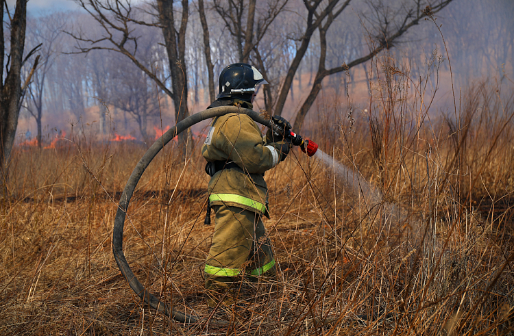 Один лесной пожар потушили за сутки в Приморье