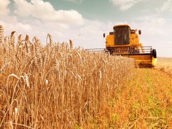 Отчет по сельскому хозяйству за 2024 год Отчет по сельскому хозяйству за 2024 год