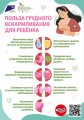 Грудное вскармливание — лучший старт для малыша!