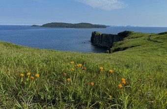 Морские и лесные прогулки, чтение у костра: какой отдых в Приморье по душе людям.