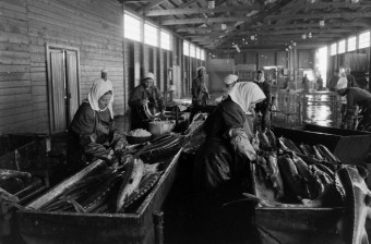 А вы знаете, сколько памятников, посвященных ВОВ, внесено в реестр недвижимости в Приморье? 0