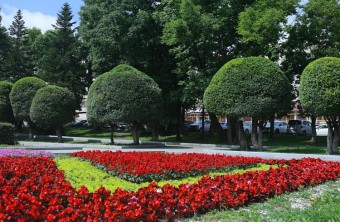 Муниципалитеты Приморья определяют парки и скверы для благоустройства-2026 Муниципалитеты Приморья определяют парки и скверы для благоустройства-2026
