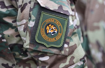 Приморским «ТИГРам» установили новые выплаты